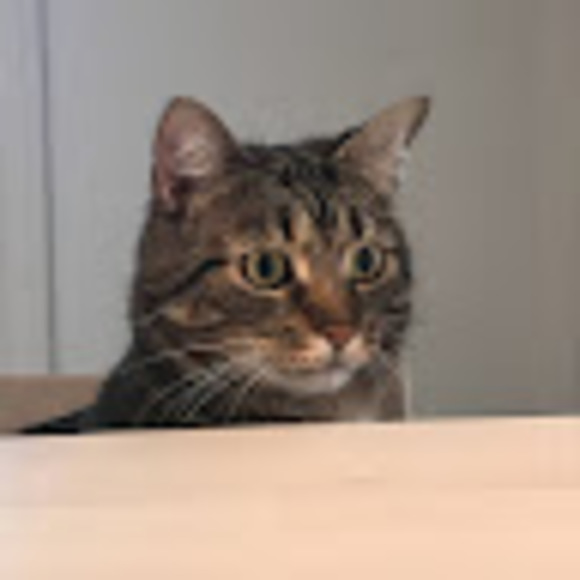 Meet your Posher, Éléonore - Picture 1 of 1